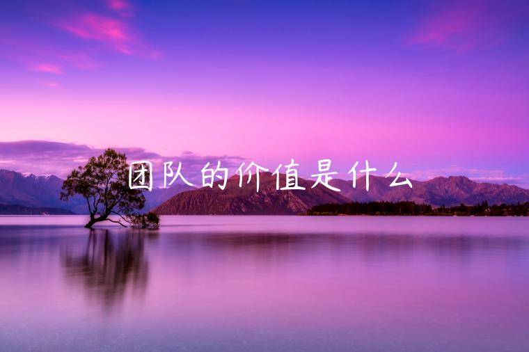 团队的价值是什么-第1张图片-芝麻交易所下载