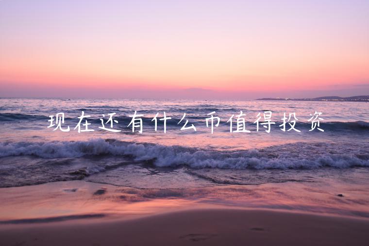 现在还有什么币值得投资-第1张图片-芝麻交易所下载