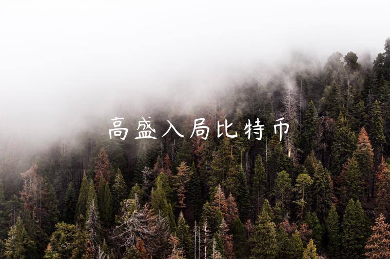 高盛入局比特币-第1张图片-芝麻交易所下载