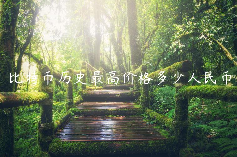 比特币历史最高价格多少人民币-第1张图片-芝麻交易所下载