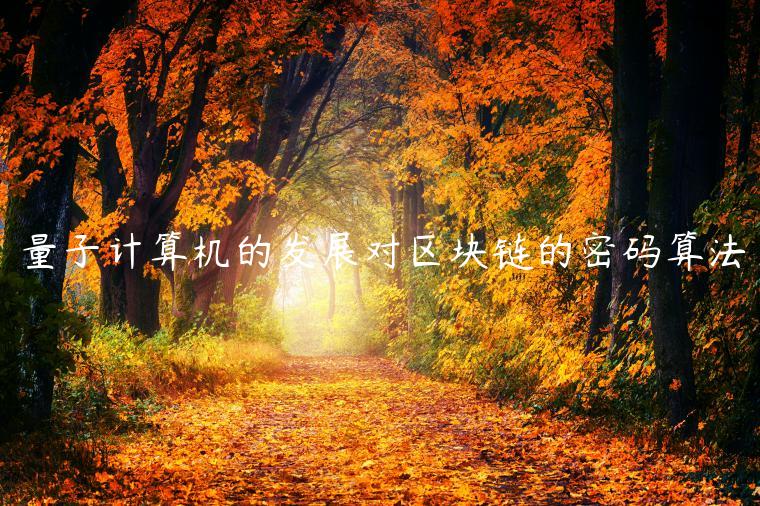 量子计算机的发展对区块链的密码算法-第1张图片-芝麻交易所下载