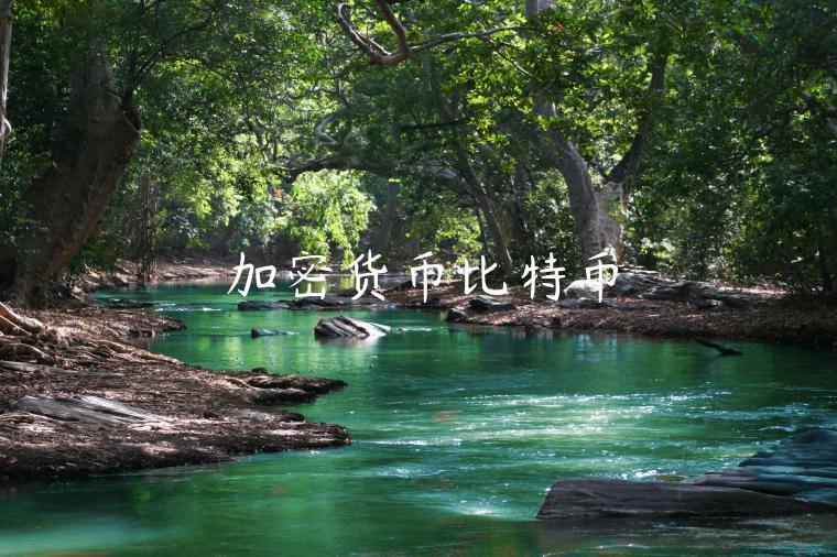 加密货币比特币-第1张图片-芝麻交易所下载