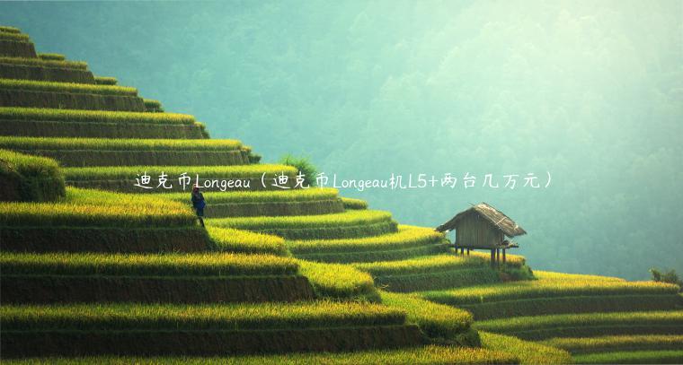 迪克币Longau（迪克币Longau机L5+两台几万元）-第1张图片-芝麻交易所下载