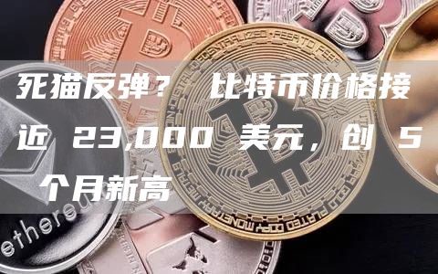 死猫反弹？ 比特币价格接近 23,000 美元，创 5 个月新高-第1张图片-芝麻交易所下载