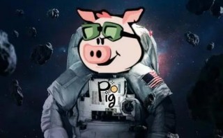 猪币最新版APP下载链接 pig币钱包下载入口