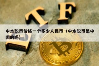 中本聪币价格一个多少人民币（中本聪币是中国的吗）