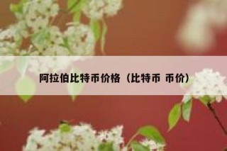 阿拉伯比特币价格（比特币 币价）