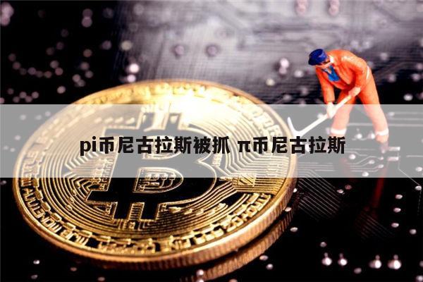 pi币尼古拉斯被抓了吗 pi币主网上线时间-第1张图片-芝麻交易所下载