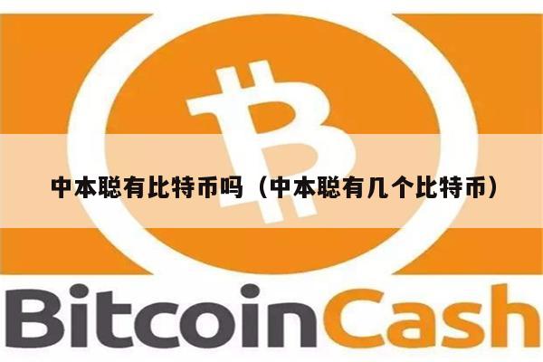 中本聪有比特币吗（中本聪有几个比特币）-第1张图片-芝麻交易所下载
