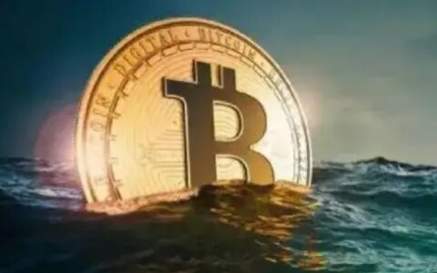 今日派币价格(今日派币的价格多少)-第1张图片-芝麻交易所下载