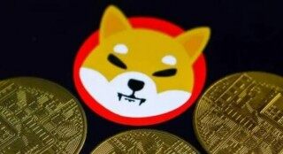 柴犬币五年后能涨多少(柴犬币涨幅多少)