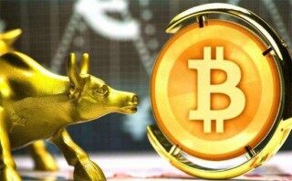 维卡币最新报道(维卡币国外最新报道)