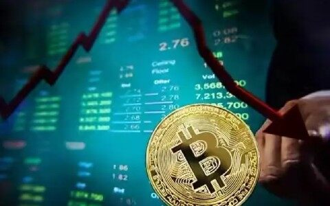 派币价格多少(派币价格走势)-第1张图片-芝麻交易所下载