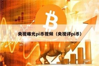 央视曝光pi币视频（央视评pi币）