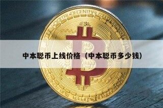中本聪币上线价格（中本聪币多少钱）