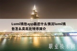 Lumi钱包app最近什么情况lumi钱包怎么卖出比特币简介