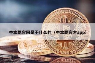 中本聪官网是干什么的（中本聪官方app）