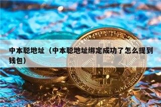 中本聪地址（中本聪地址绑定成功了怎么提到钱包）