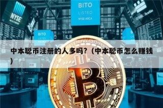 中本聪币注册的人多吗?（中本聪币怎么赚钱）