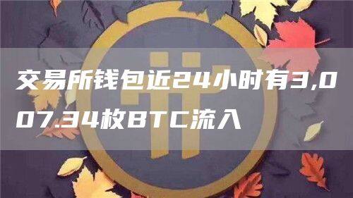 交易所钱包近24小时有3,007.34枚BTC流入-第1张图片-芝麻交易所下载