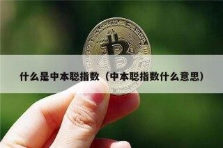 什么是中本聪指数（中本聪指数什么意思）