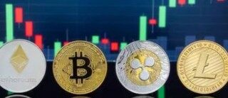 OMG币最新价格是多少