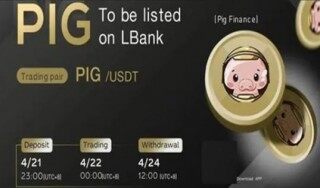 pig币交易所安卓手机端 pig币钱包官网