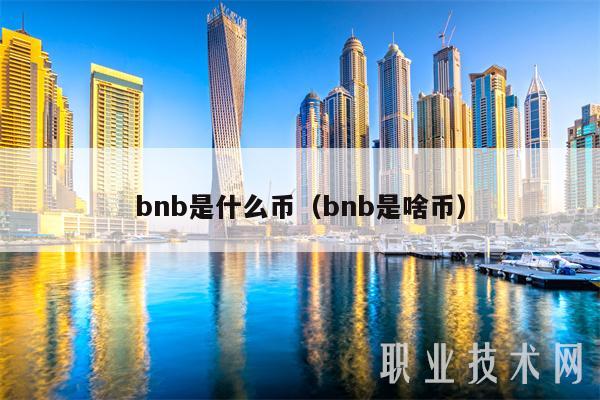 bnb是什么币（bnb是啥币-第1张图片-芝麻交易所下载