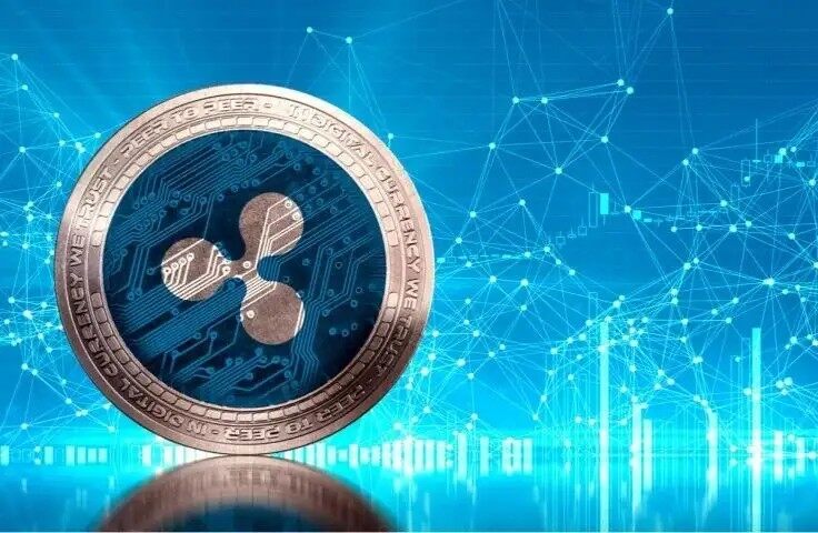RP交易平台app_RP交易平台安卓下载-第1张图片-芝麻交易所下载