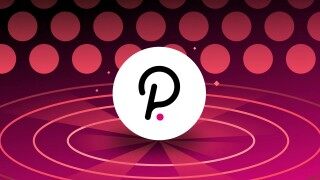 波卡币钱包最新版本下载_波卡币钱包app下载安装