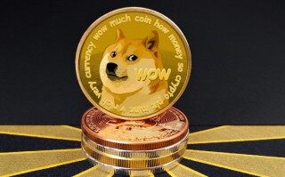 柴犬币为什么大涨(柴犬币会不会涨价)