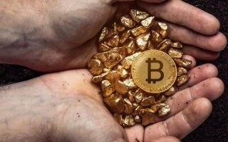 维卡币近几天最新消息(维卡币有最新消息吗)