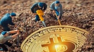 维卡币登录入口(维卡币官网登录入口)
