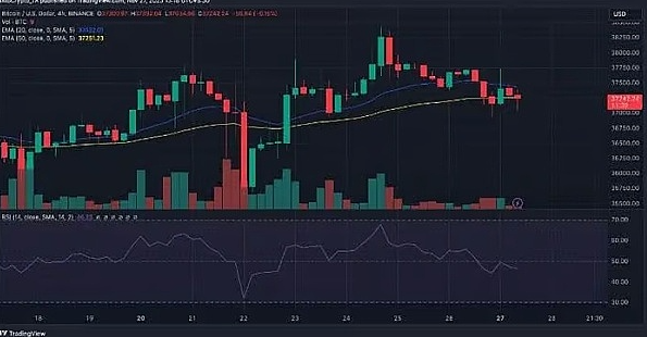 80%的BTC钱包都赚了，比特币真的进入新牛市了？-第6张图片-芝麻交易所下载