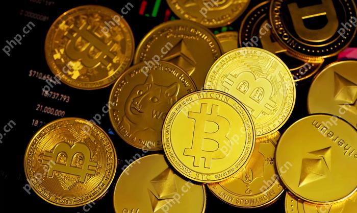 币安下载链接 币安下载路径 - php中文网