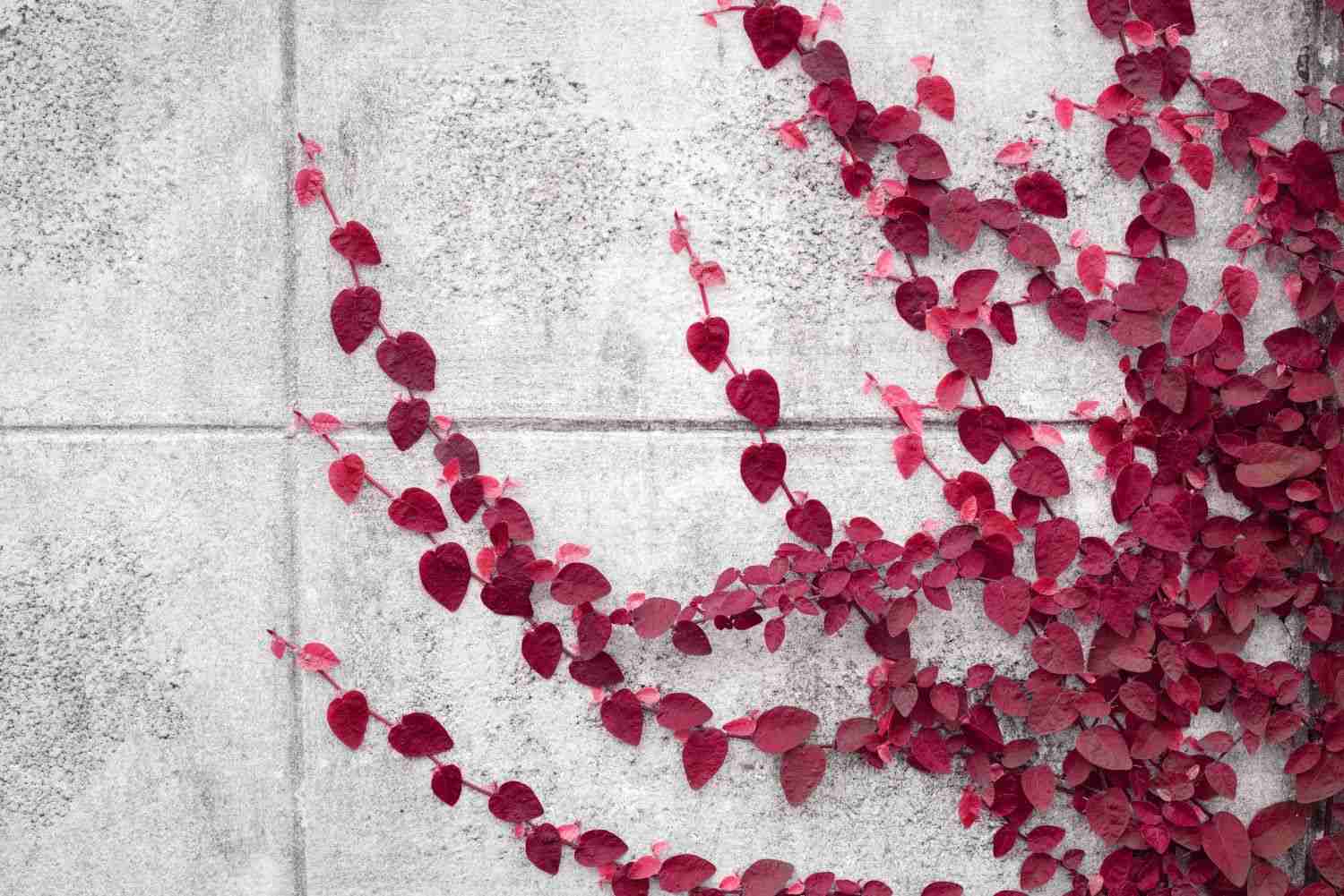 即时支付、金融科技与USDC稳定币：金融新纪元？