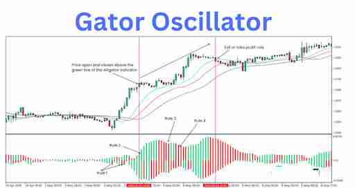比尔·威廉姆斯是谁，为什么他的指标很重要？比尔·威廉姆斯的关键交易指标有哪些？