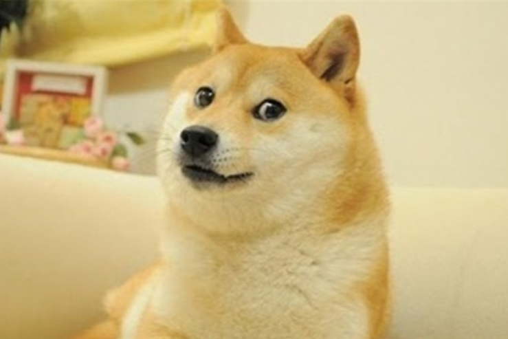 狗狗币是山寨币还是主流币? - php中文网