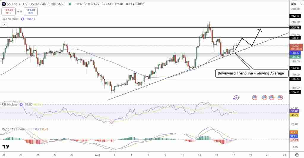 索拉纳币（SOL）本周预测上涨4.5%　市场是否忽视了SEC延误？