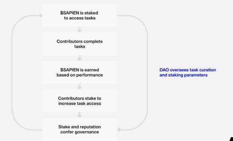 币安将上线的Sapien(SAPIEN币)是什么?值得投资吗?SAPIEN代币经济与未来前景分析