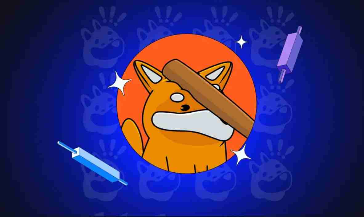 Solana、模因币与Bonk：新王登基？