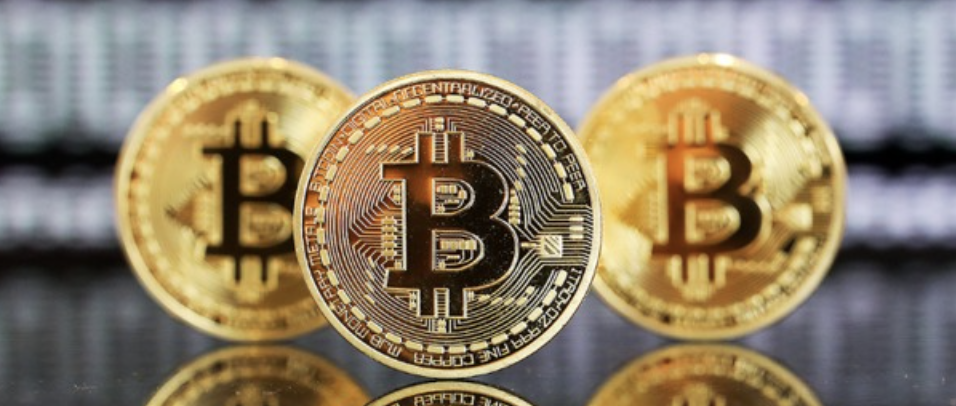 解读 wlfi 代币持有者的权益与权力 - php中文网