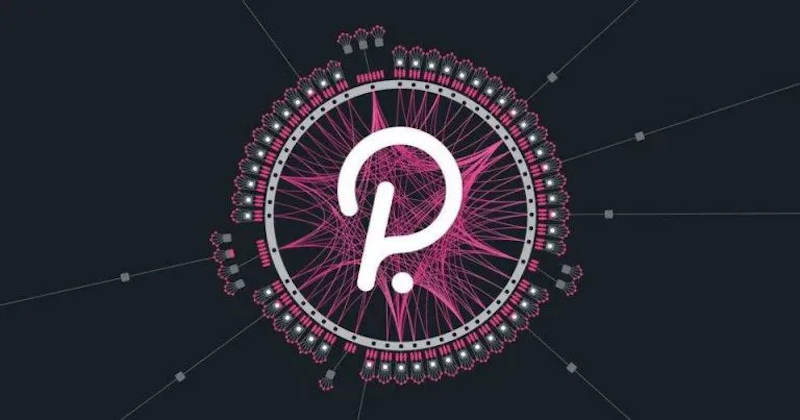 什么是Polkadot（DOT币）？DOT未来发展前景与价格预测 - php中文网