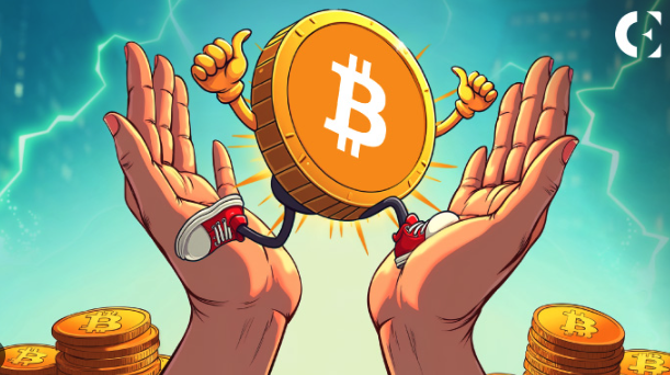 BTC价格趋势分析:未来(2026年-2030年)涨跌看什么指标? - php中文网