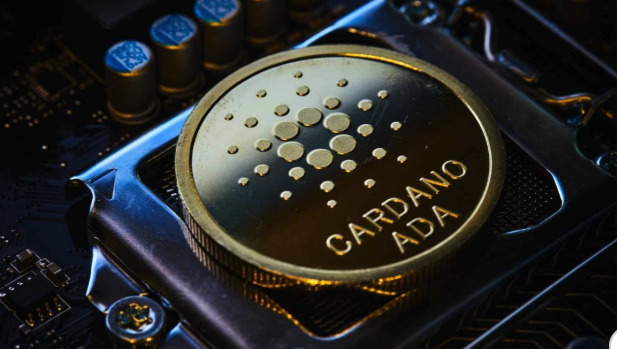 卡尔达诺是什么智能合约链?创始人背景?主流地位如何? - php中文网