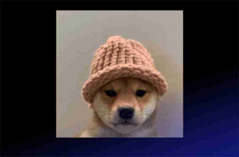 WIF Meme 代币值得投资吗?2025年潜力如何?