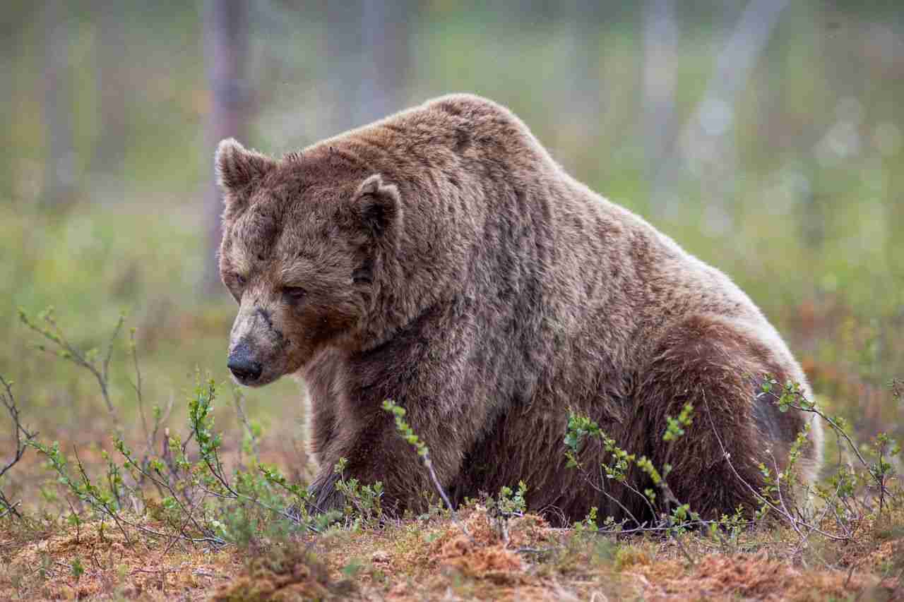 BTC、ETH与清算:加密市场瞬息万变