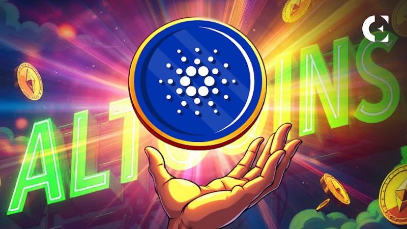 2025年web3投融资回暖迹象明显,一级市场活跃度上升 - php中文网