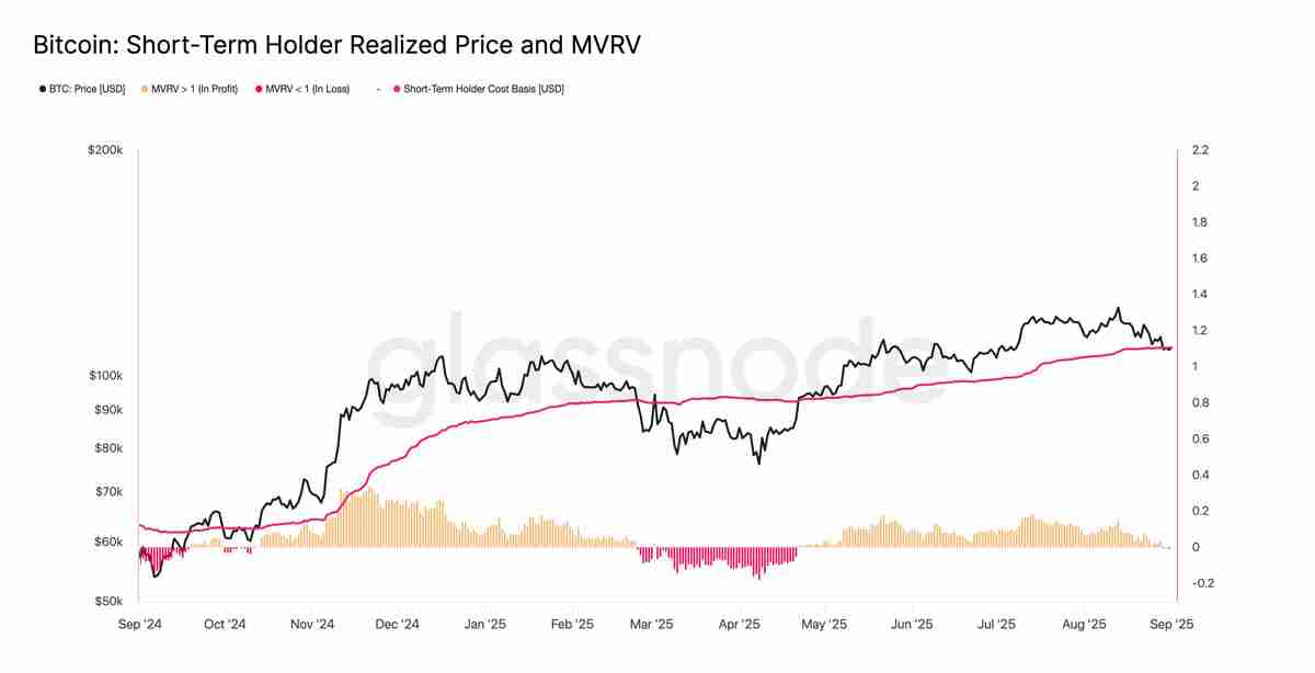 比特币短期持有者引发罕见底部信号,BTC价格在10.7万美元显现筑底迹象