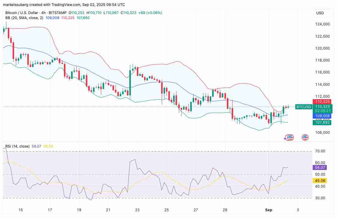 比特币短期持有者引发罕见底部信号,BTC价格在10.7万美元显现筑底迹象
